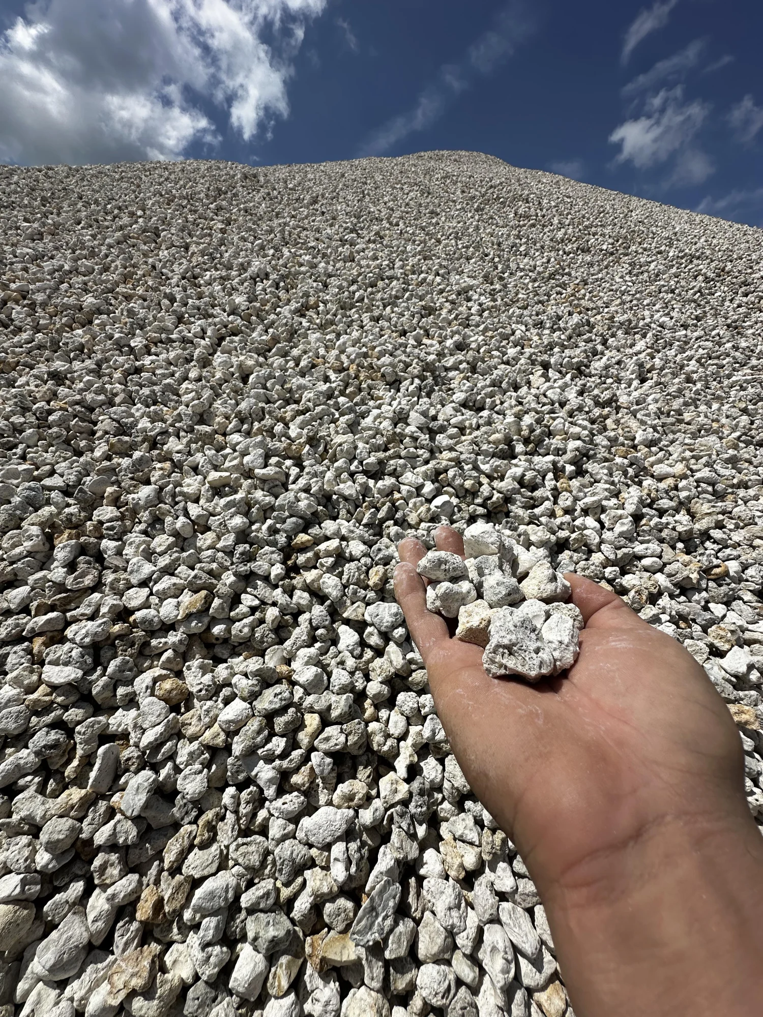 Alabama Limestone