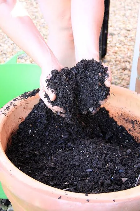 Potting Soil