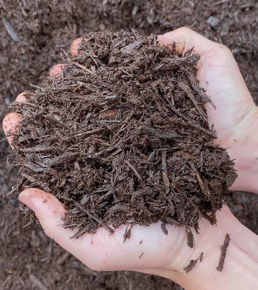 Brown Mulch