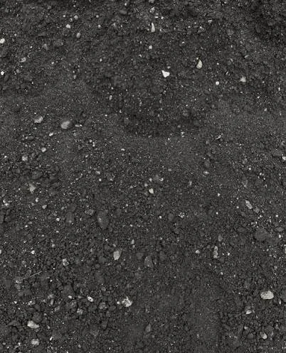 Asphalt Screenings