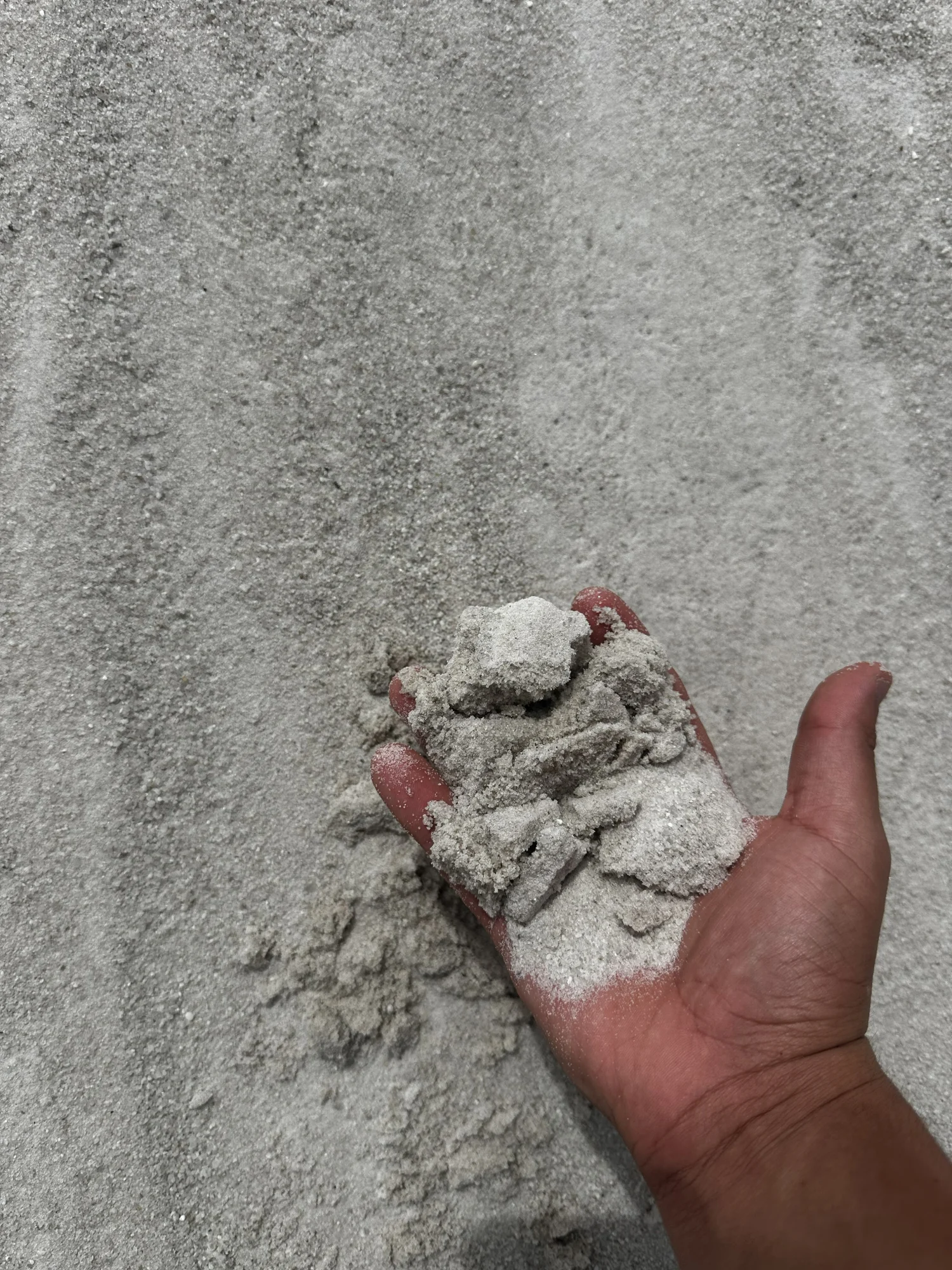 Beach Sand