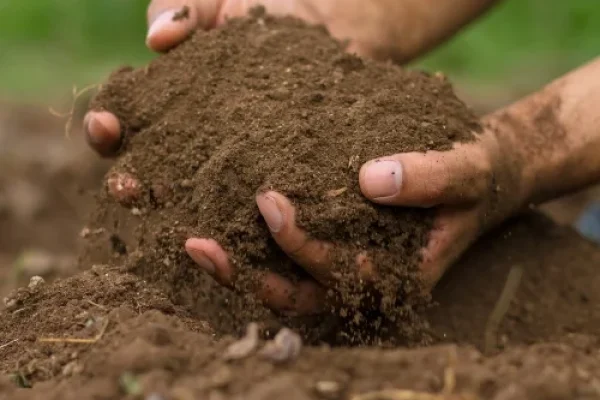 Topsoil-500x500-1
